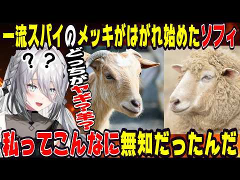自分の無知を痛感したソフィア・ヴァレンタイン【にじさんじ/にじさんじ切り抜き/ソフィア・ヴァレンタイン/ソフィア・ヴァレンタイン切り抜き/雑談/Idios】