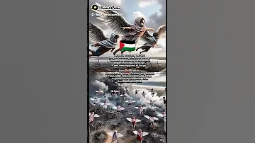 Palestine A Lot Baby N Children Israel Murder 