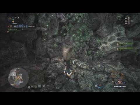 Mhw 食材が増えるプラチナパールの場所 真珠貝増殖中の時のみ モンハンワールド Youtube