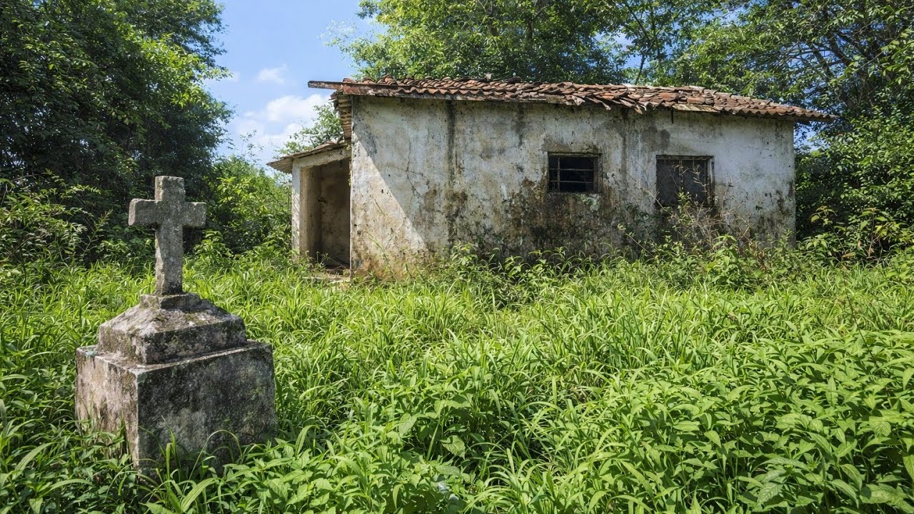 Defunto Se Levanta Do Caixão Logo Após Ser Desenterrado Pelo Próprio Irmão no Cemitério