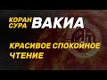 КРАСИВОЕ ЧТЕНИЕ КОРОНА, СУРА ВАКИА, СЛУШАЙТЕ СПОКОЙНОЕ ЧТЕНИЕ ДЛЯ ВАЩЕГО СЕРДЦА И ДУШИ.