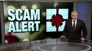 Better Business Bureau releases 'naughty list' of top 12 scams of Christmas