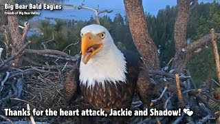 FOBBV CAM🦅Thanks For The Heart Attack, Jackie \& Shadow!💕2023-04-28