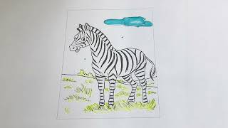 Share coloring picture of zebra looking for food