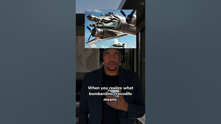 When You Realize What Bombardino Crocodillo Means…