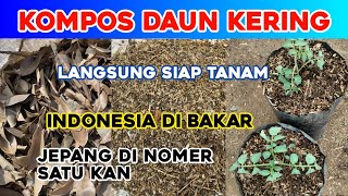 Cara buat media tanam dari daun kering super mudah dan irit tanah,tanaman langsung subur