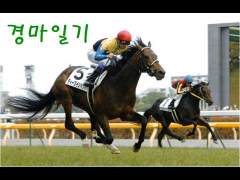 [LIVE] 일본경마 AI 분석 실시간 | 9월 22일 (화)| 경마일기