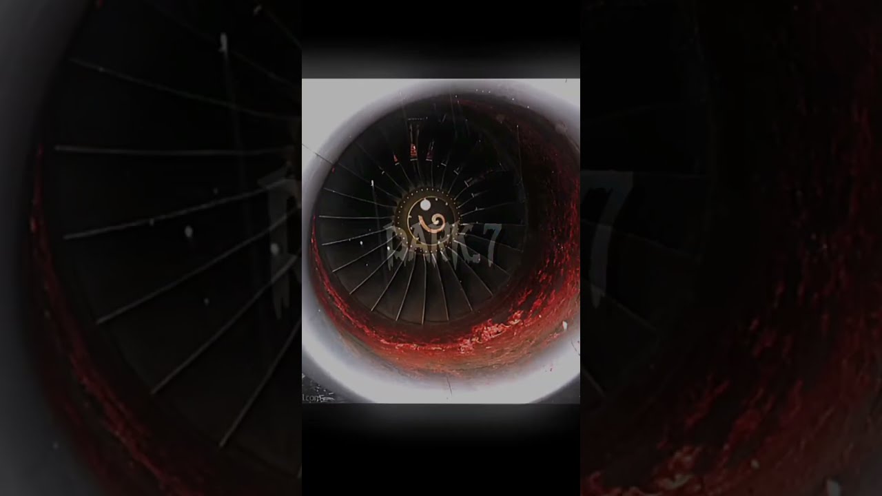 On July 13 2004 Man Sucked Into Plane Engine Dark Real Story Scary