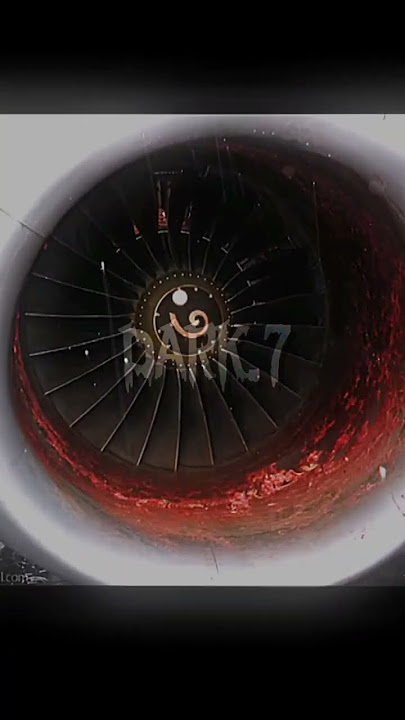 On July 13, 2004 man sucked into plane engine. #dark #real #story #scary #plane #engine