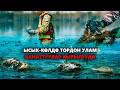 Жети-Өгүз: Бир күндө көлдөн 900 метр тор чыгарылды