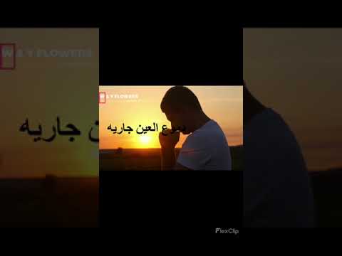 ربى الهى دموع العين جاريه والقلب تحرقه فى اضلعى النار