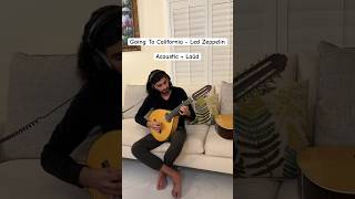 Going To California by Led Zeppelin 🤘🏻 #music #guitar #cover #ledzeppelin #guitarsolo #rocknroll Payam Shahidi