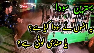 Amazing DEAL at Sohrab Goth Cow Mandi 2022 | Bakra Eid 2022 | Cattle Market Karachi Price Updates