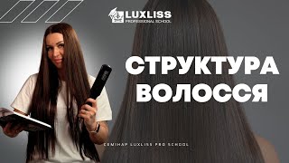 З чого складається волосся. Семінари Luxliss Pro School