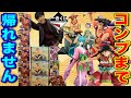 【一番くじ】ワンピース!コンプするまで帰れませんしたら、フィギュア大量にGETしました。この、おでんの数を見よ(一番くじ、ワンピース、おでん、ワノ国)