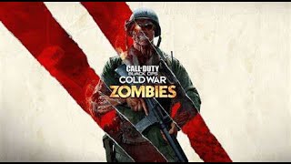 Black Ops Cold War Zombies | Just chilling