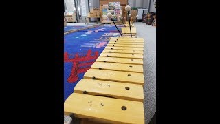 Coetail Online9 Course 5 Final Project HD