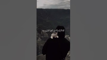 سورة آل عمران - سلمان العتيبي