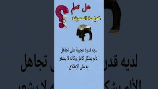 تعرف على قهر الأسود