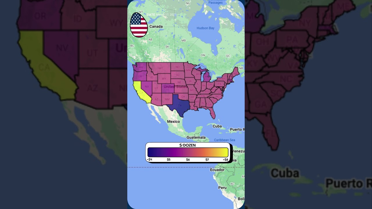 Weekly Egg Report March 17, 2025