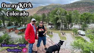 Ouray KOA Campground | Cabin & Dog Walk