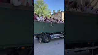 Graduation time Truckloads of graduates on the streets of Stockholm this past week shorts