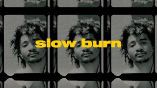 linanthem - slow burn (official video) 🎥 [lofi hiphop \/ chill beats]