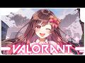 【朝活】初VALORANTソロコンペ配信！アイアン２のひよこです🐣【#vtuber /＃めぐすとりーむ】