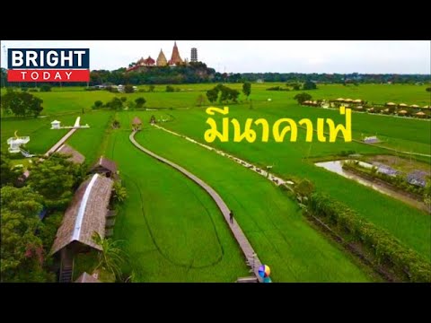 มีนาคาเฟ่ ร้านกาแฟนาข้าววิวสวยบรรยากาศดี | the next youtuber