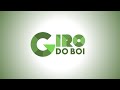 Giro do Boi- 07/07/2022| Estratégias para manejo reprodutivo