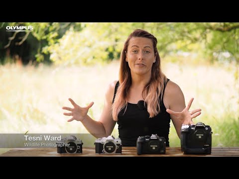 Wildlife photographers: Which is the right OM-D for you?