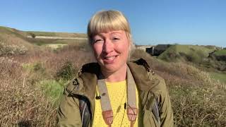 Take part in the UK Butterfly Monitoring Scheme