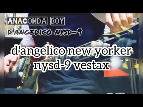 d'angelico new yorker nysd-9 vestax期