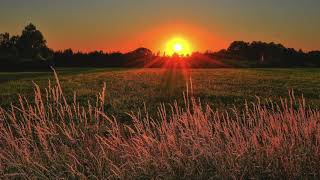 You are My Sunshine 1939 shellac record version
