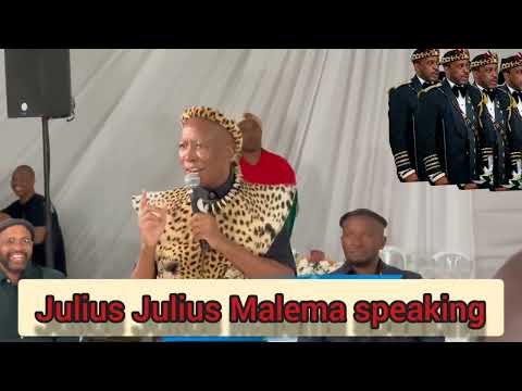 King Misuzulu Wives Malema Attended The Ceremony Eff Leader With KwaZulu Natal King Malema