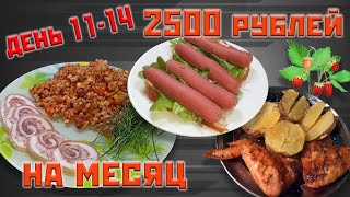 видео: Выживаю месяц на 2500 рублей. День 11-14. картинка: Выживаю месяц на 2500 рублей. День 11-14.