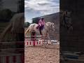Little Girl Her Stallion Horseriding Equestrian Horse Showjumping Pony Horselover Stallion 