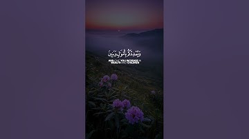 فقلت استغفروا ربكم إنه كان غفارا يرسل السماء عليكم مدرارا || سورة نوح || القارئ: فارس عباد