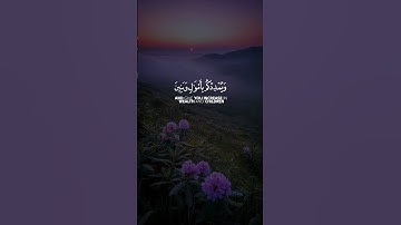 فقلت استغفروا ربكم إنه كان غفارا يرسل السماء عليكم مدرارا || سورة نوح || القارئ: فارس عباد