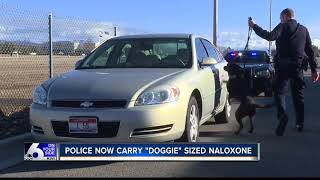 ISP drug dogs practice in Ada County and face Fentanyl threat