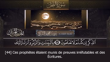 Sourate An-Nahl | Badr Al-Turki (16) سورة النحل | بدر التركي