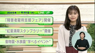 東京インフォメーション　2022年11月22日放送