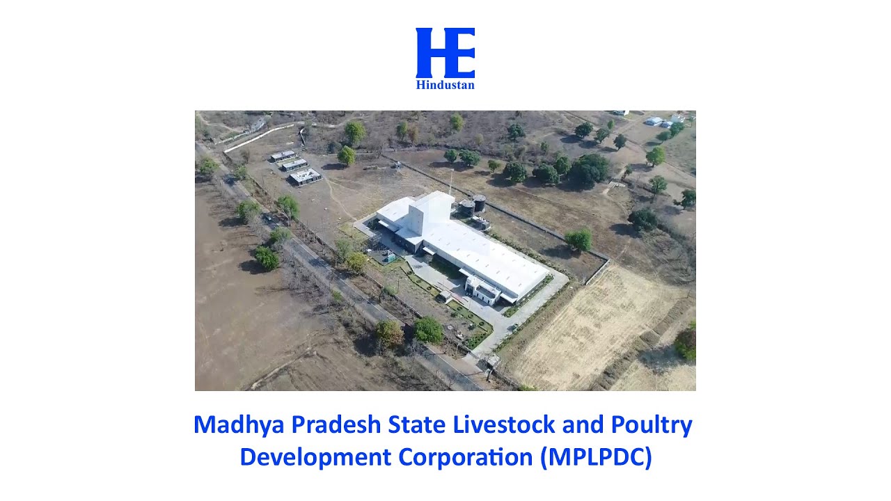 MP State Livestock and Poultry Development Corporation(MPLPDC)_Presentation