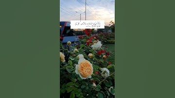 يَسْأَلُهُ مَن فِي السَّمَاوَاتِ وَالْأَرْضِ  |  سورة الرحمن 🤍 | عبد الباسط عبد الصمد
