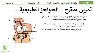 تمرين مقترح لشهادة التعليم المتوسط BEM - الحواجز الطبيعية وإختراق الخط الدفاعي الأول - سنة 04 متوسط