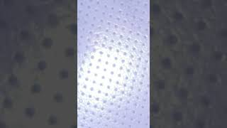 The Backyardigans Theme In G Major Slow 8X