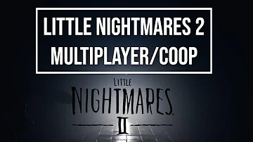 Will Little Nightmares 2 Be 2 player?
