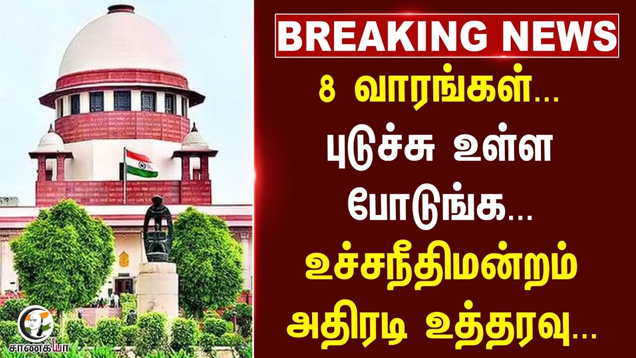 #breakingnews : 8 வாரங்கள்... புடுச்சு உள்ள போடுங்க... Supreme Court அதிரடி உத்தரவு | Delhi | Dogs