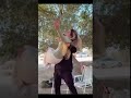 اتكلم ولا لاء ياقلبي ولاعمل ايه لاناولين لين محمد اكسبلور Shorts Tiktok اتكلم ولا لاء ياقلبي ولاعمل ايه لاناولين لين محمد اكسبلور Shorts Tiktok