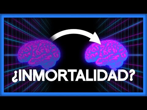 Vídeo: Matriz, Inmortalidad Y Transferencia De Conciencia: Cómo Será Nuestro Futuro Inmediato - Vista Alternativa